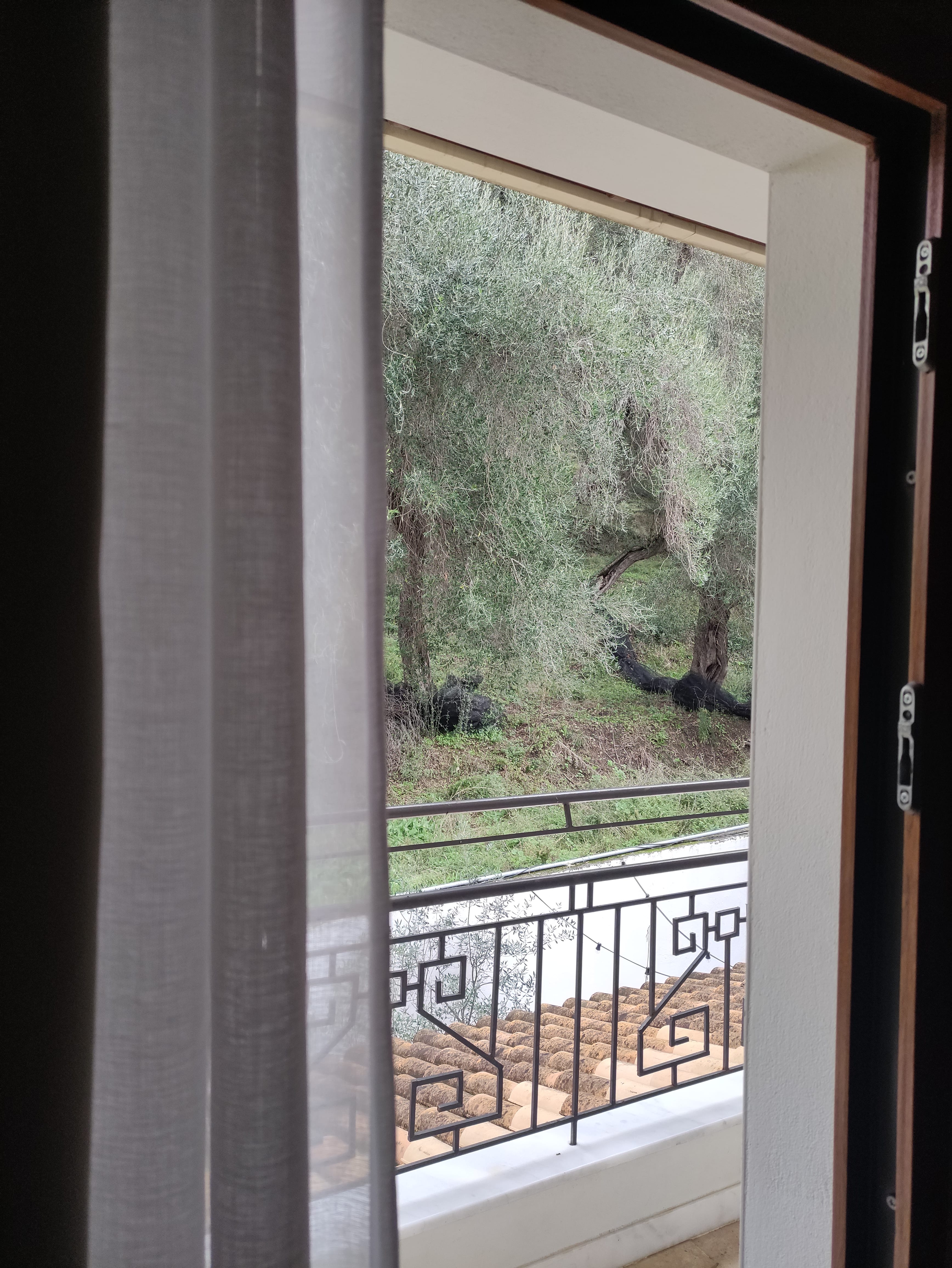 a view of a field through a window