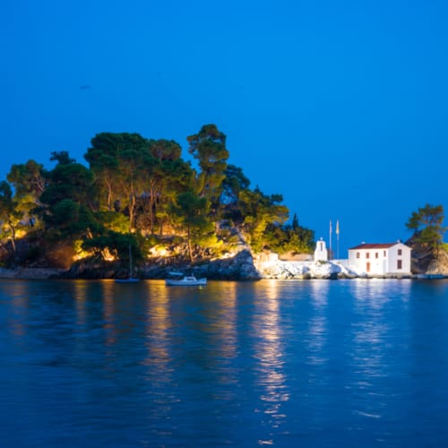 a small island with trees on it