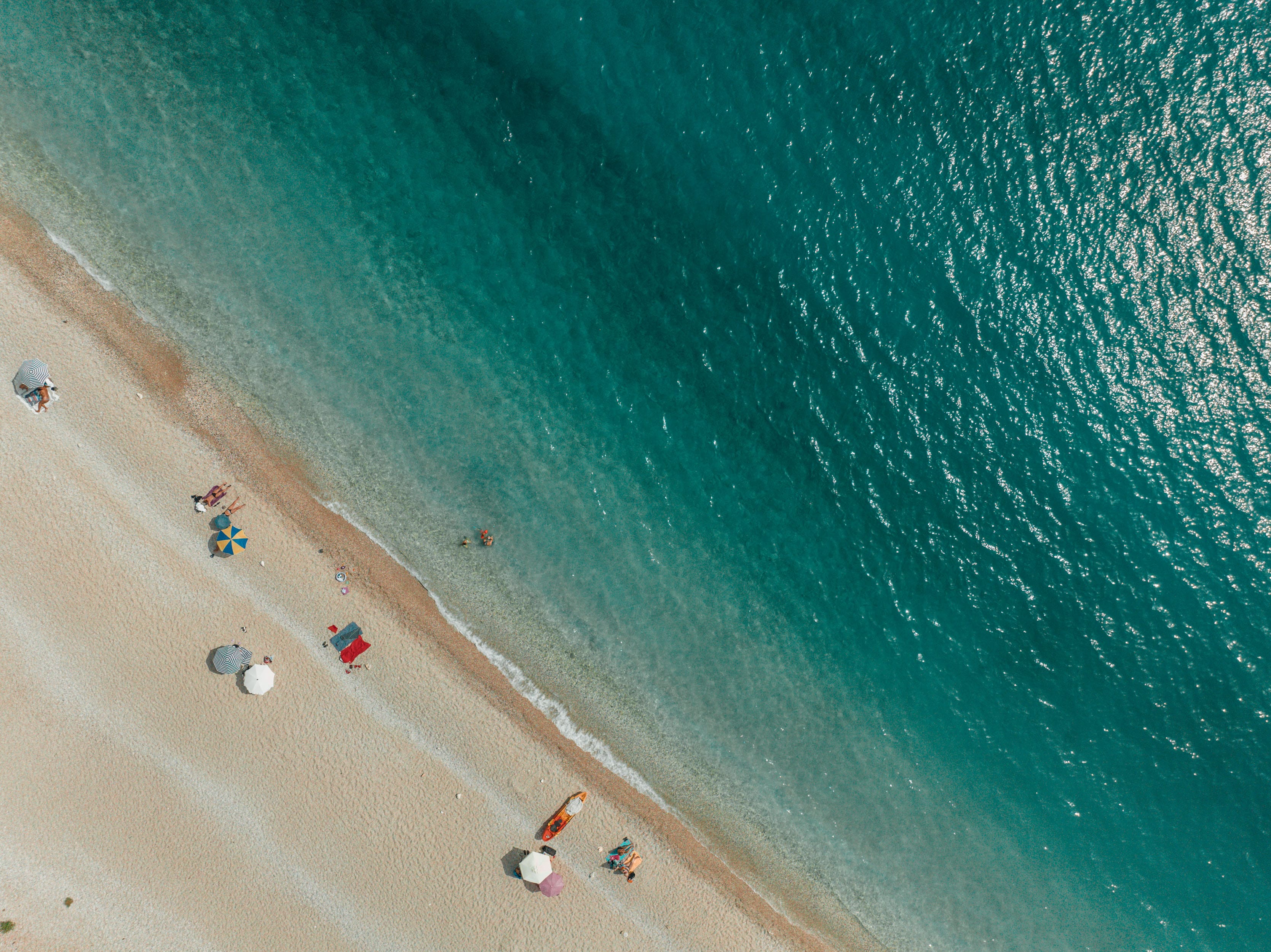 a group of people on a beach