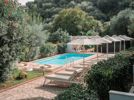 a swimming pool surrounded by trees