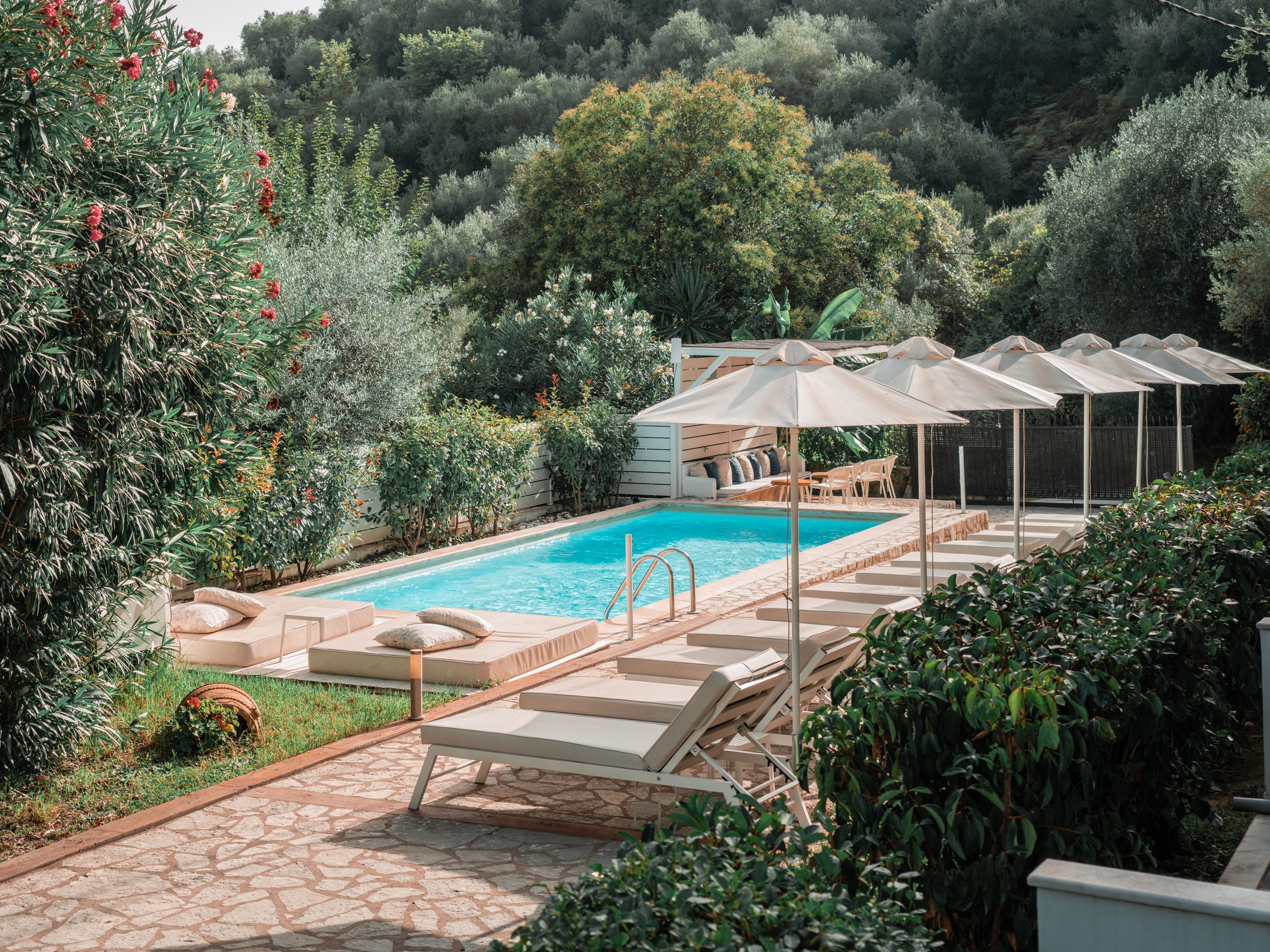 a swimming pool surrounded by trees