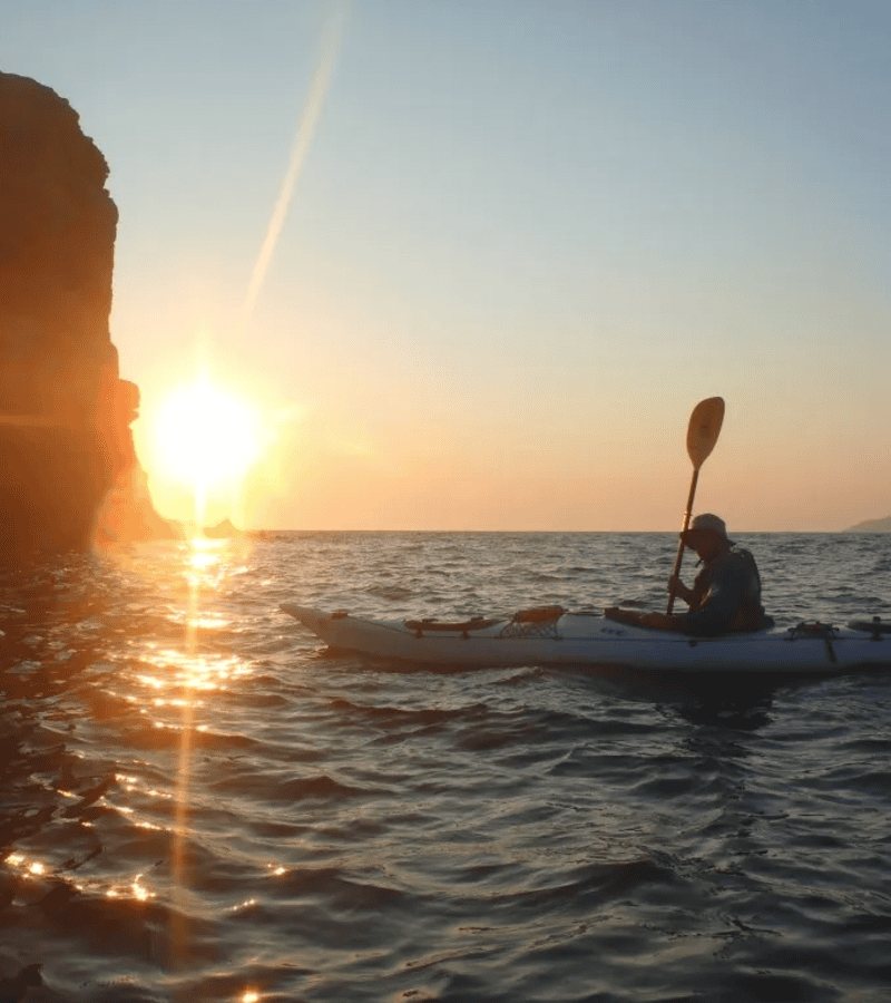 a couple of people rowing a boat