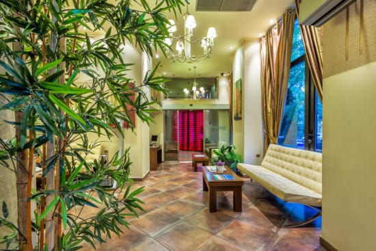 a room with a couch and a table with plants