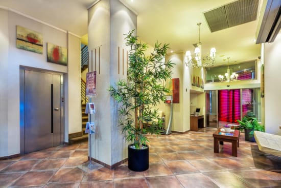 a room with a plant in it