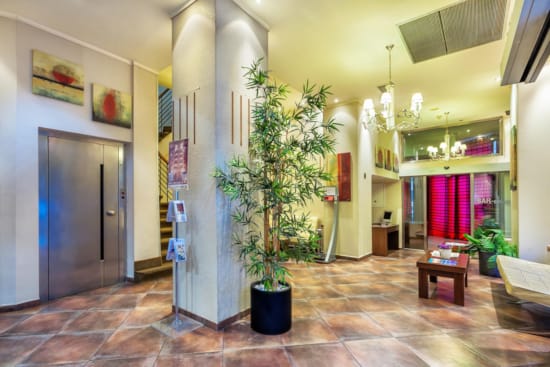 a room with a plant in it