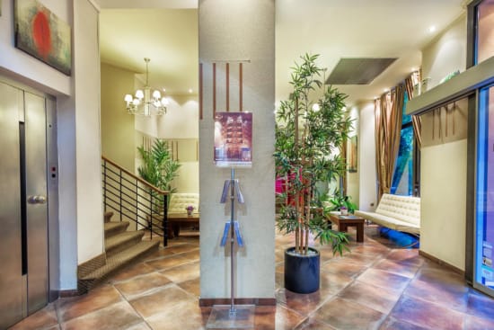 a hallway with a plant and a camera on the floor
