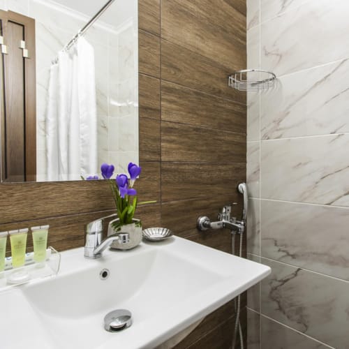 a bathroom with a sink and a mirror