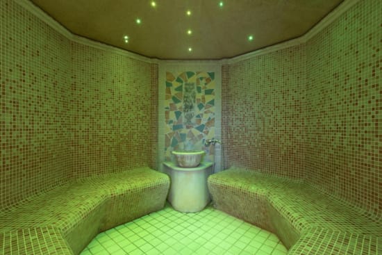 a room with a bed and a planter