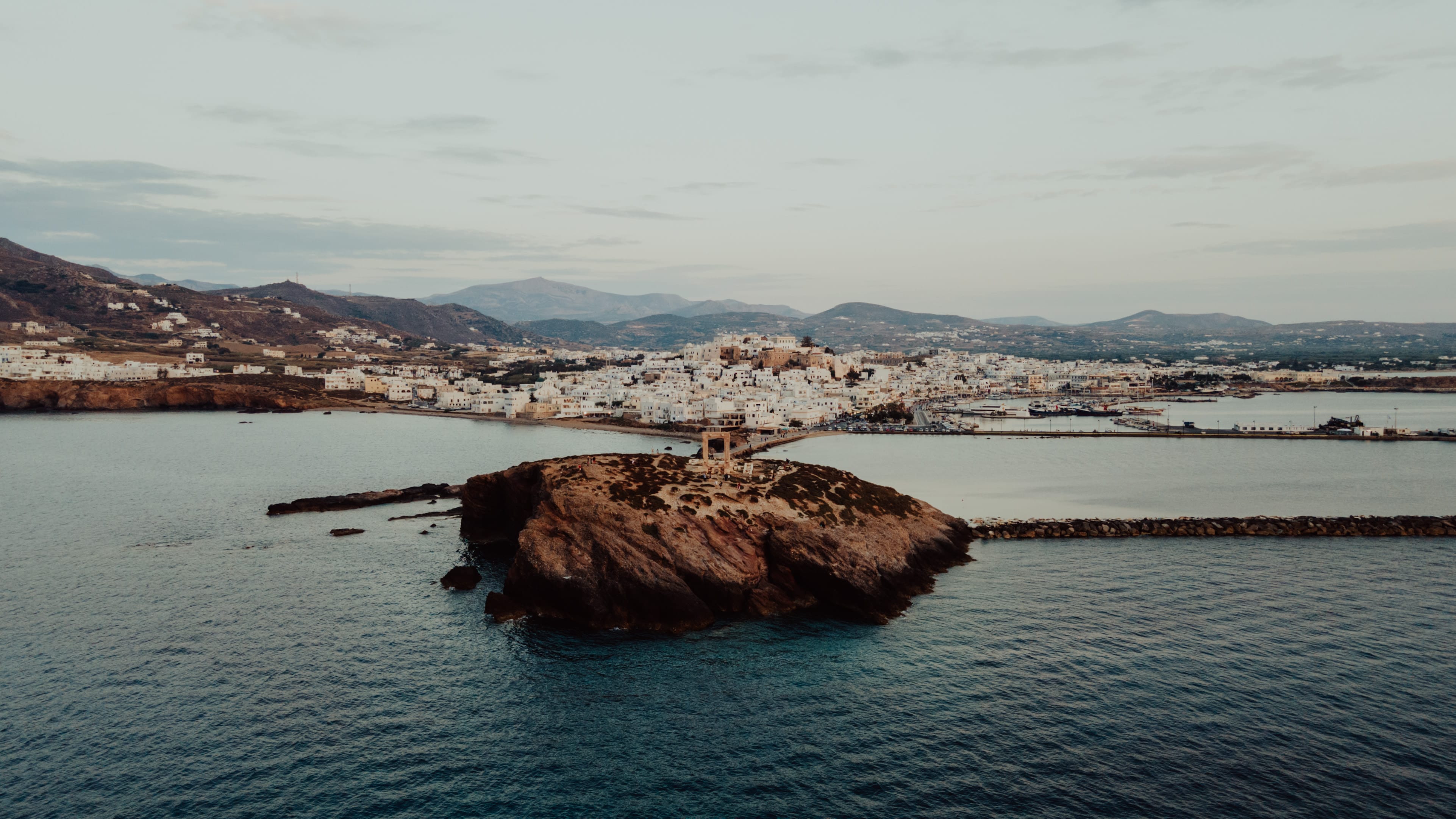 a turtle swimming in water