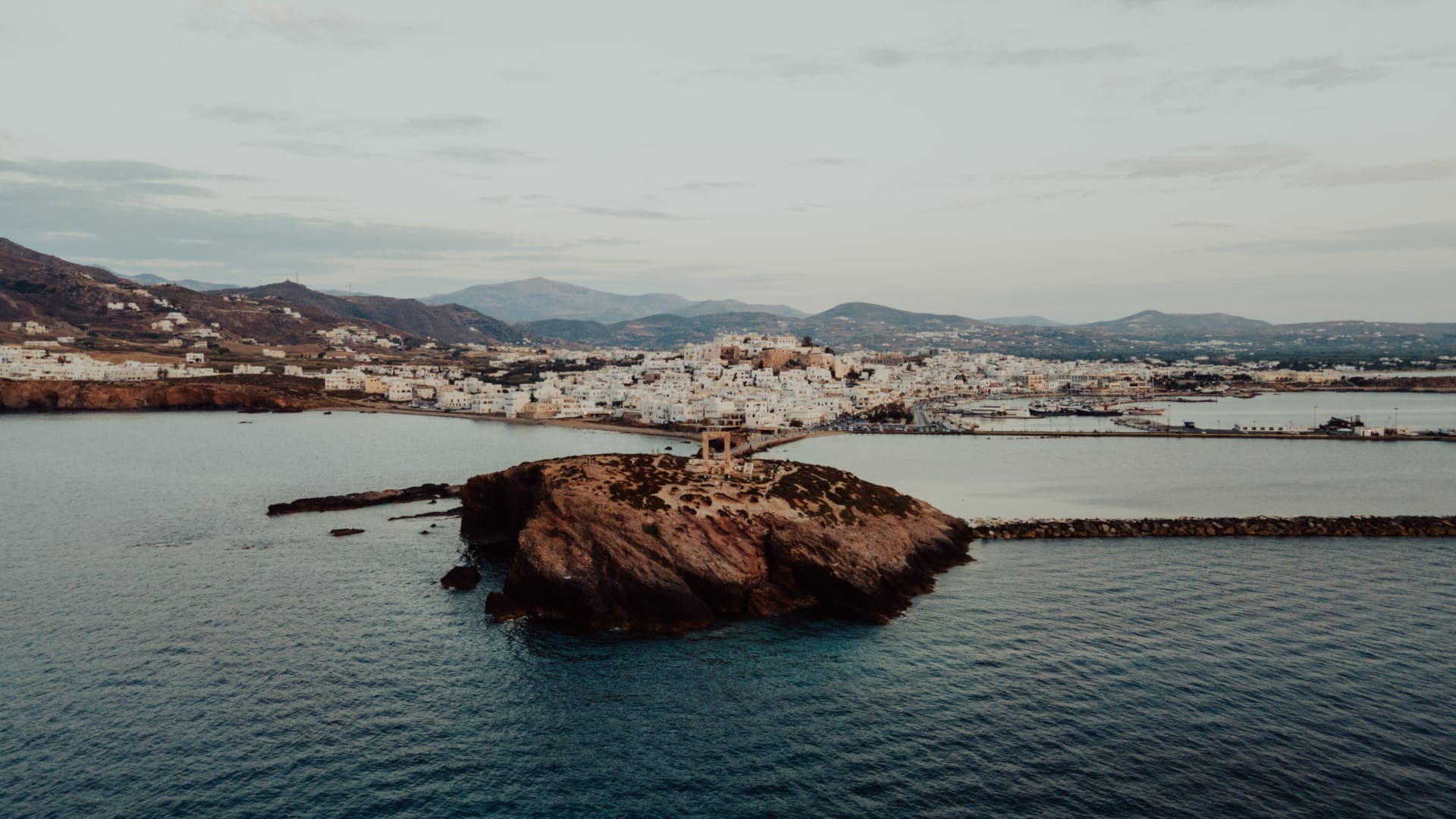 a turtle swimming in water