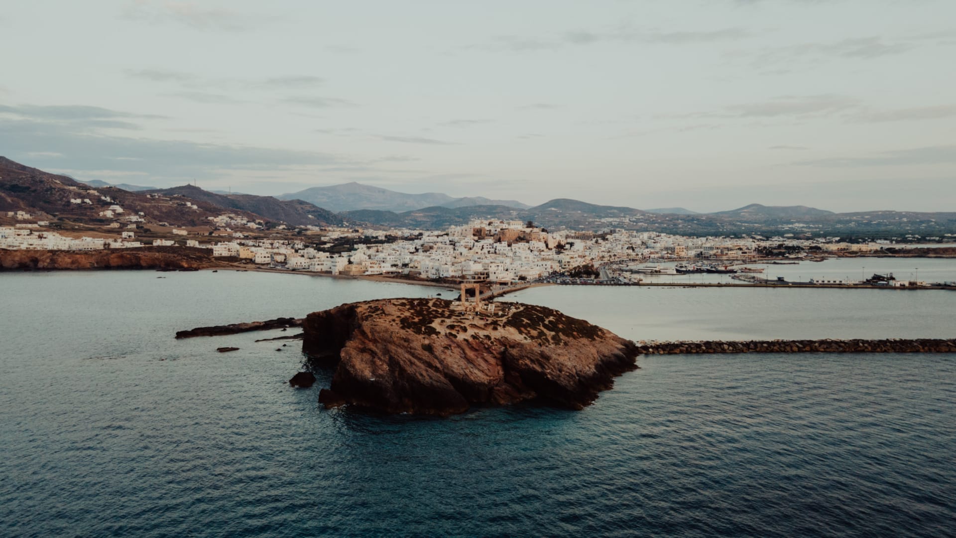 a turtle swimming in water