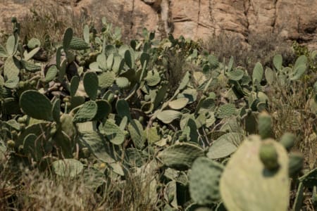 above-wow-outdoors-day-4