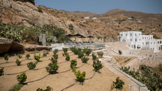 above-wow-outdoors-day-9