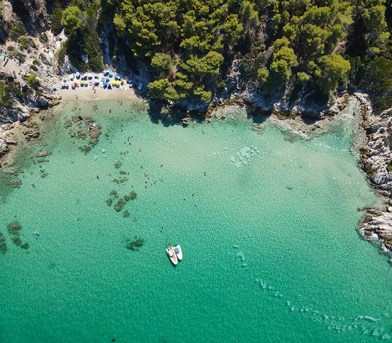a body of water with trees around it