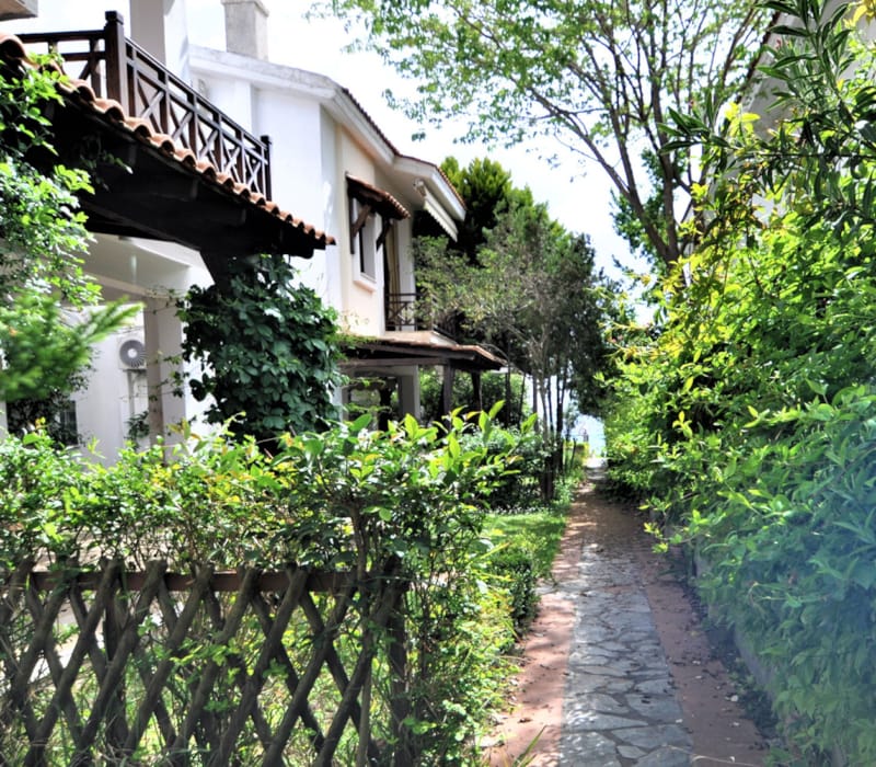 Zennova #23 Nikiti Family Green Nest