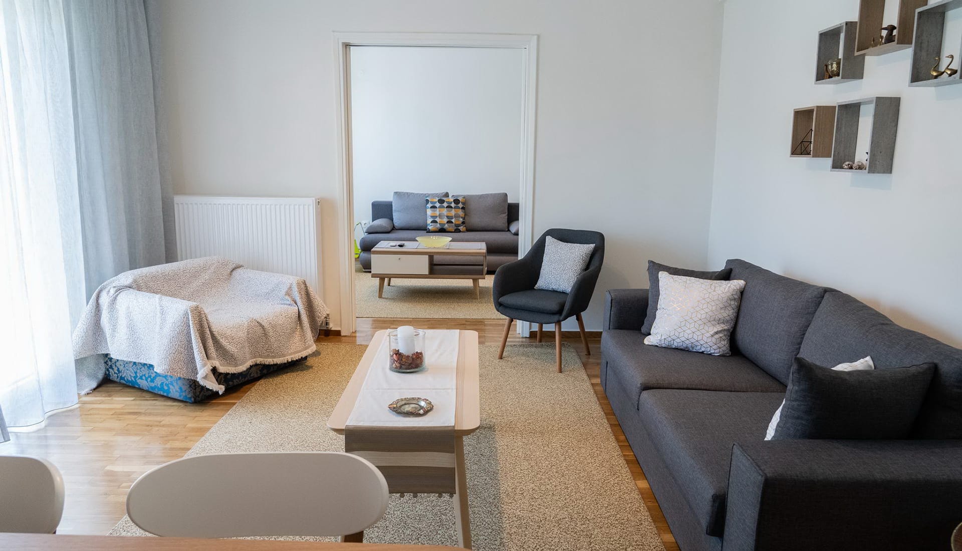 Zennova #5 Antigonidon Sq