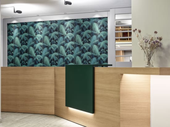 a room with a green door and a plant in the corner