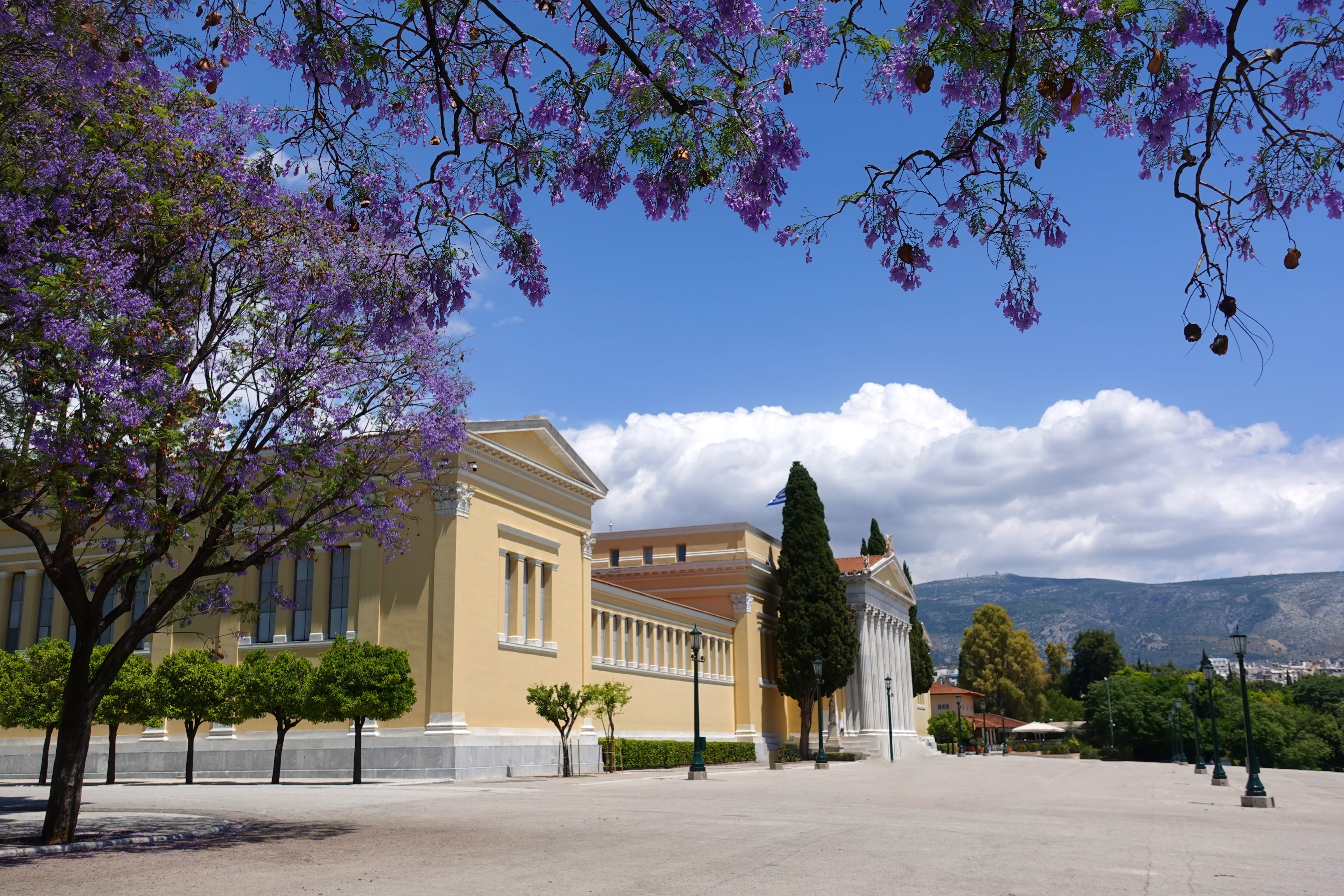 a building with trees in front of it