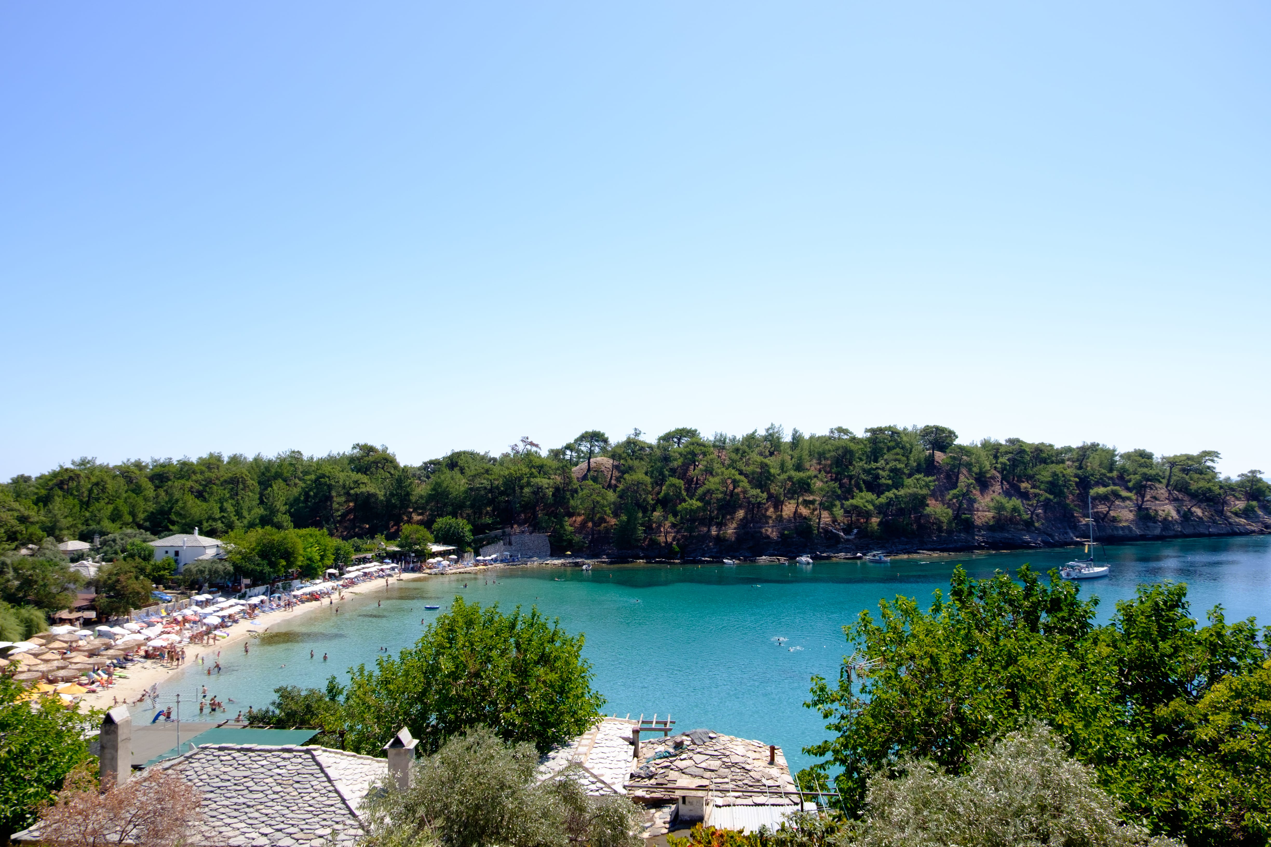 a beach with trees and buildings