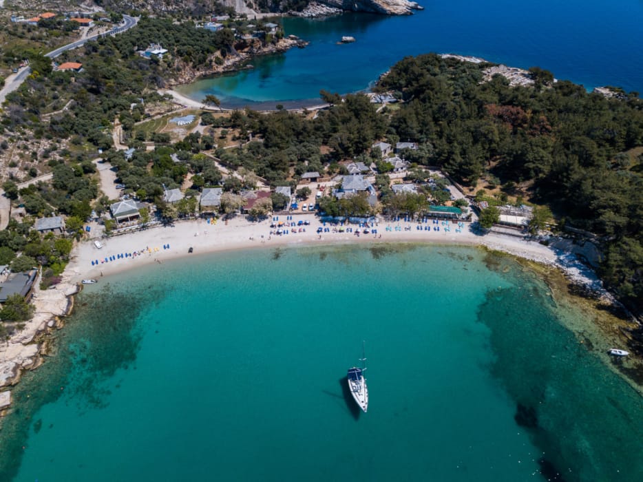 a beach with houses and trees