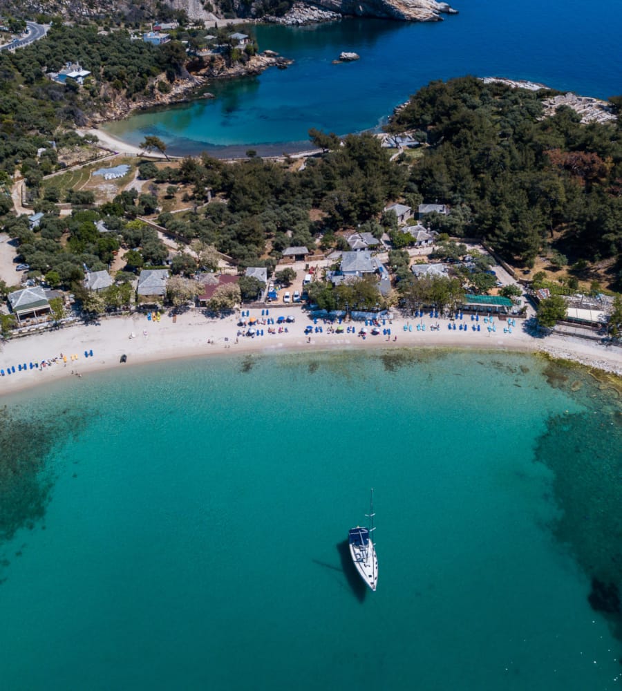 a beach with houses and trees