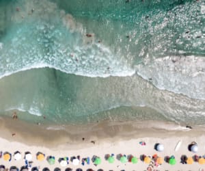 a large group of people swimming in a pool of water