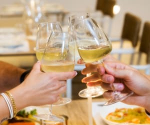a group of hands holding glasses of wine