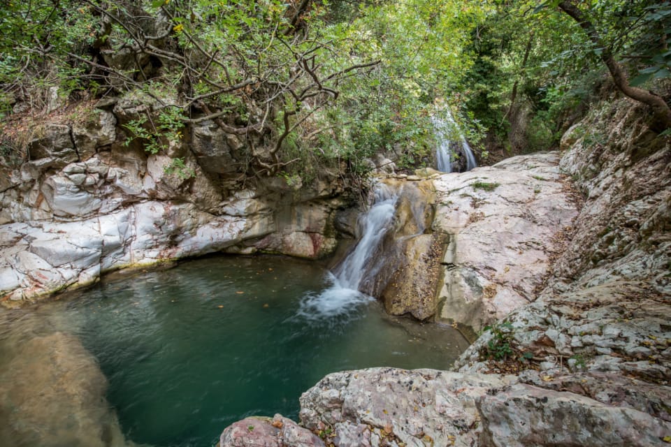 a small waterfall in a forest