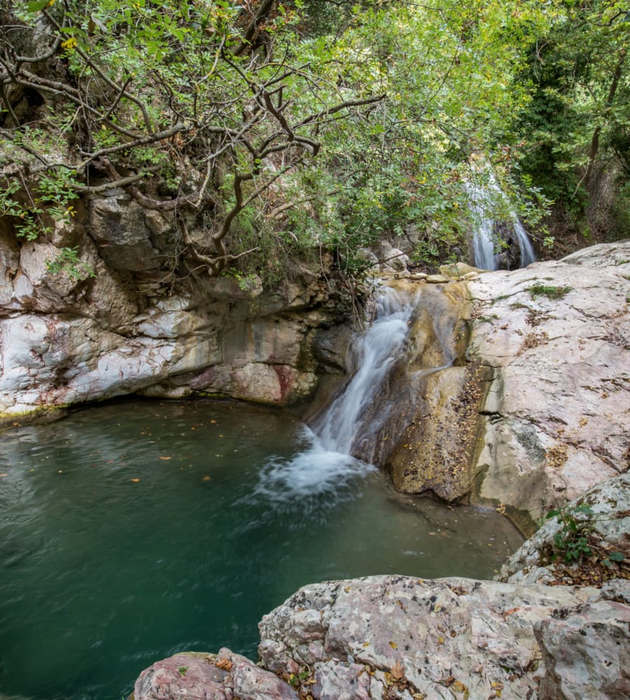 a small waterfall in a forest