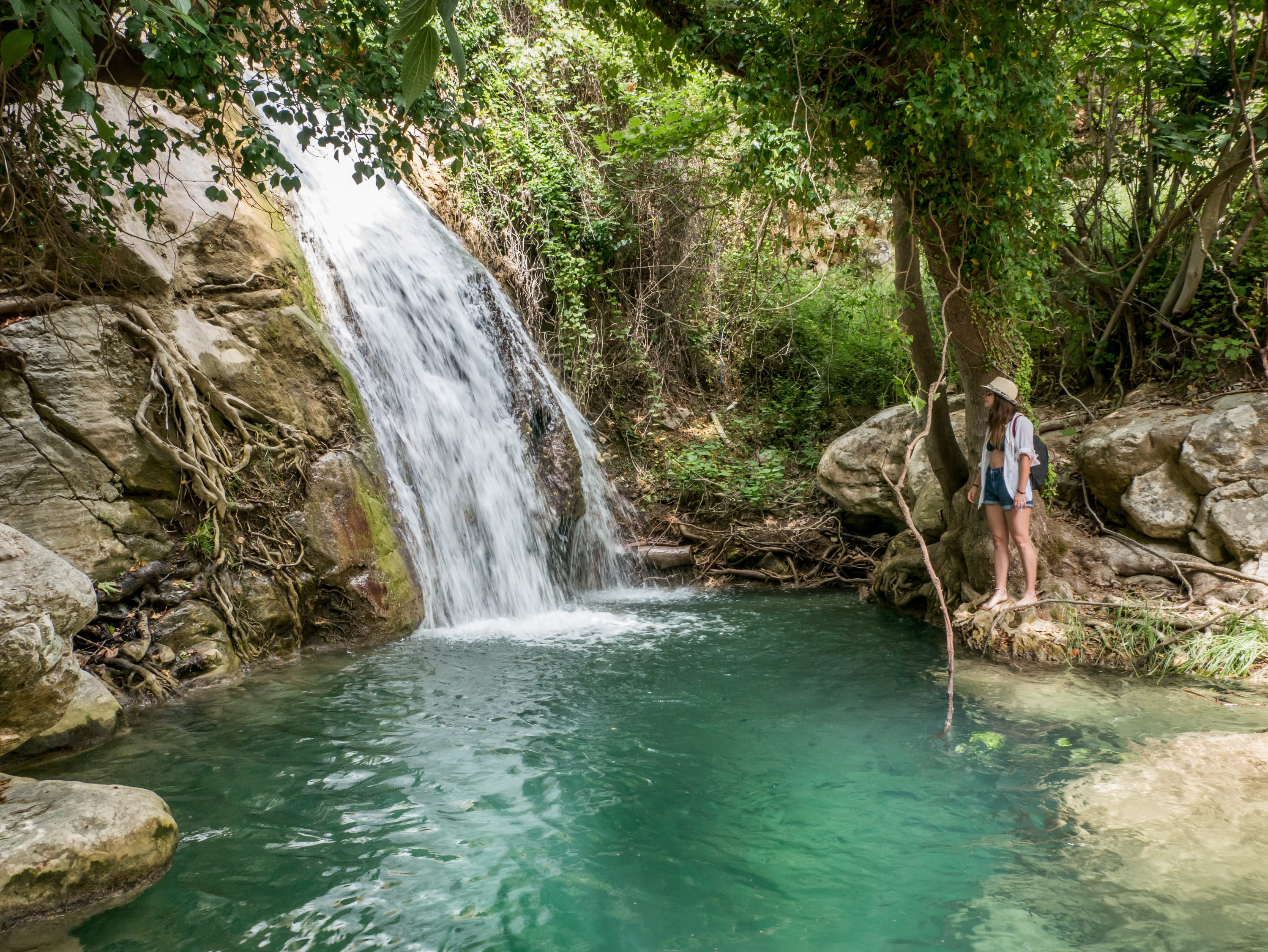 a man standing on a log over a river with a waterfall