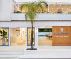 a building with a palm tree