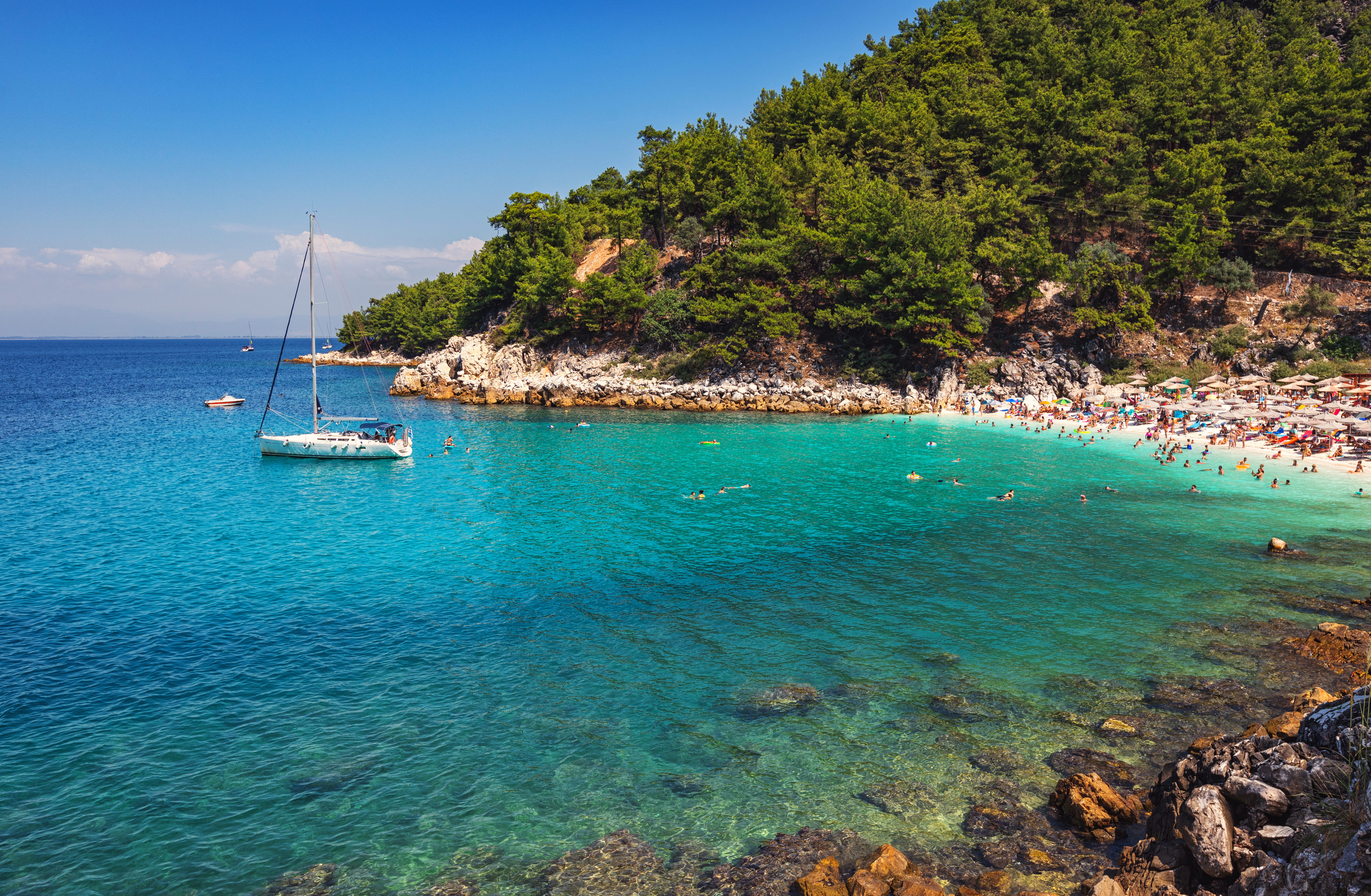 a beach with boats and trees