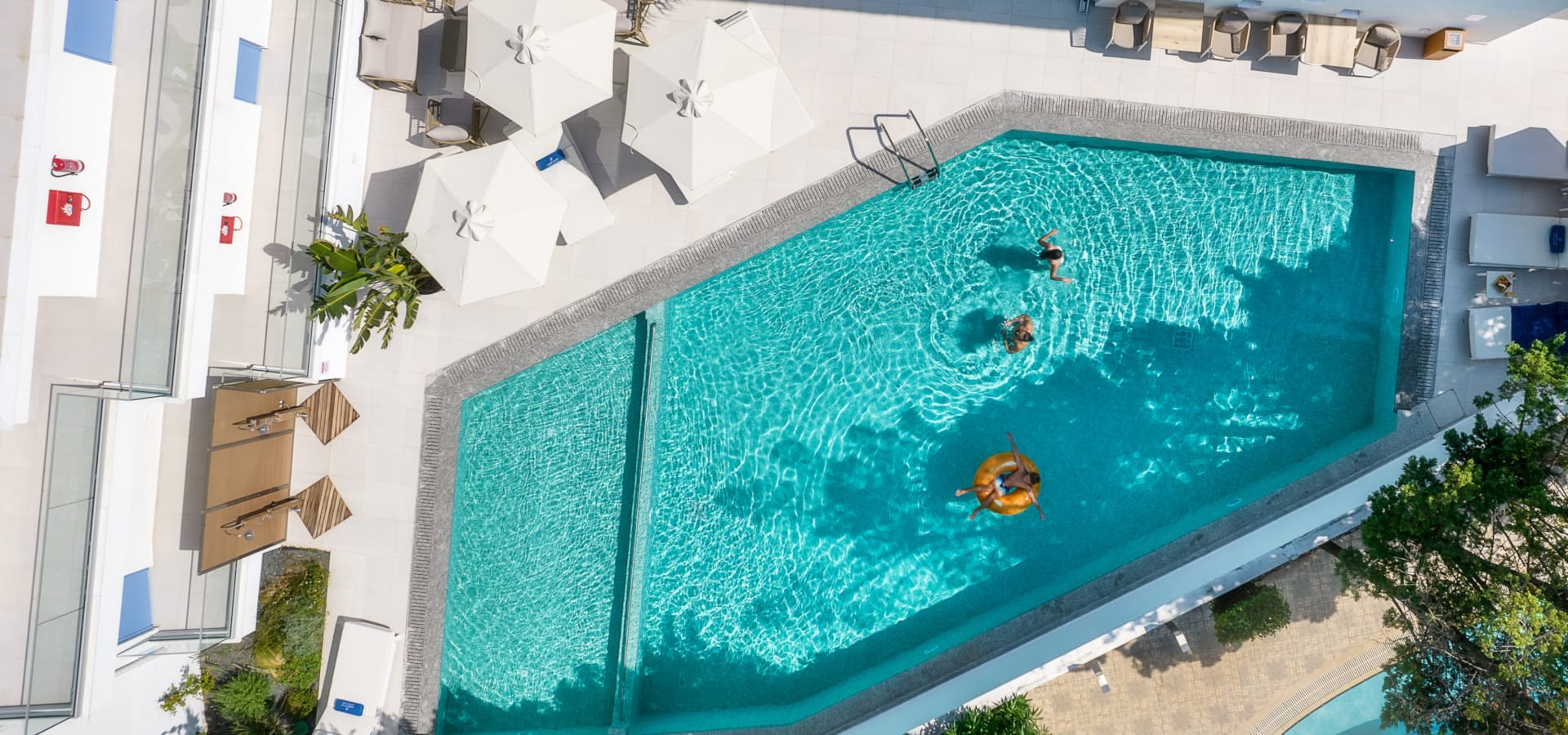 a swimming pool with a few fish in it