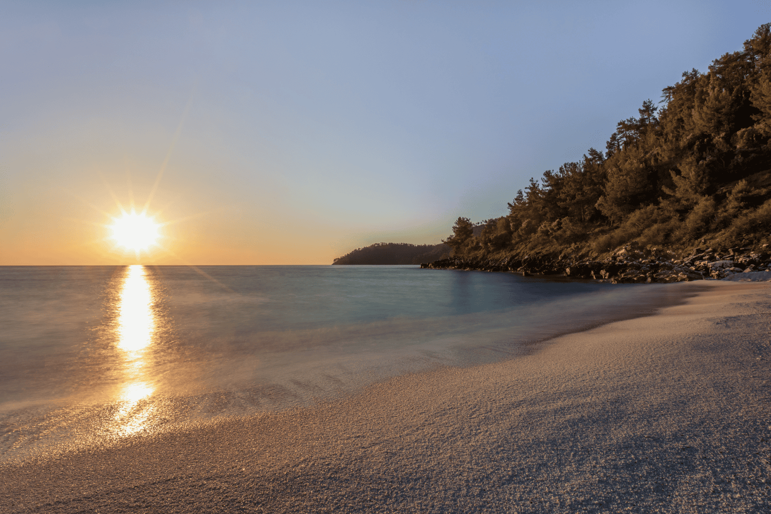 a beach with a hill and trees