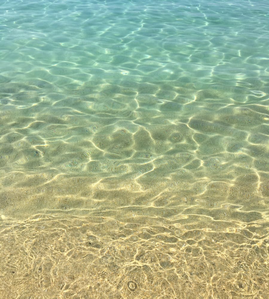 a body of water with sand