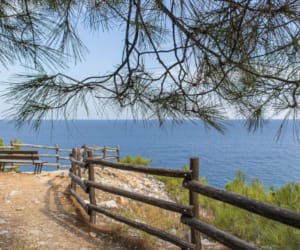 a wooden fence next to a body of water