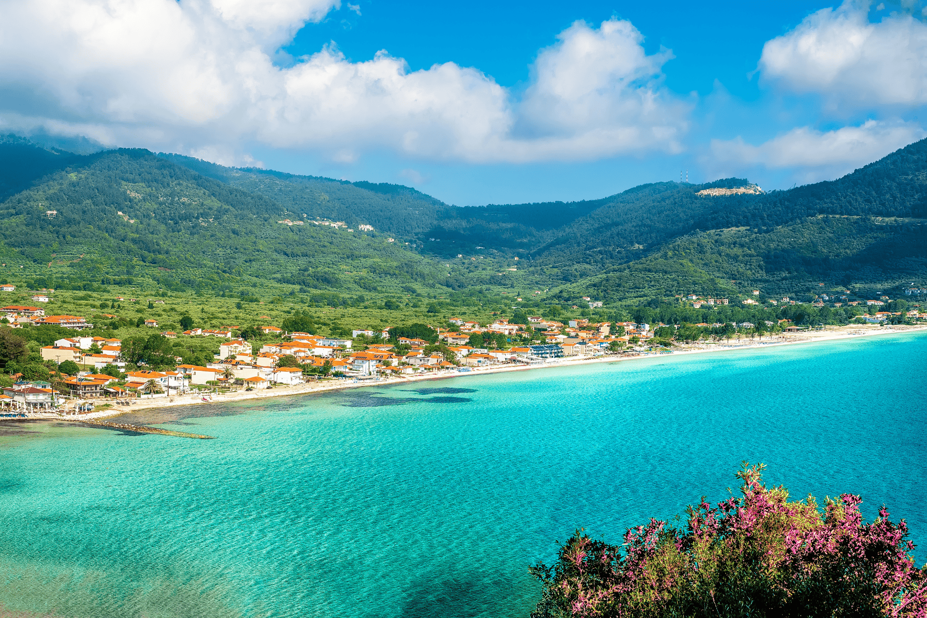 a beach with houses and mountains in the background