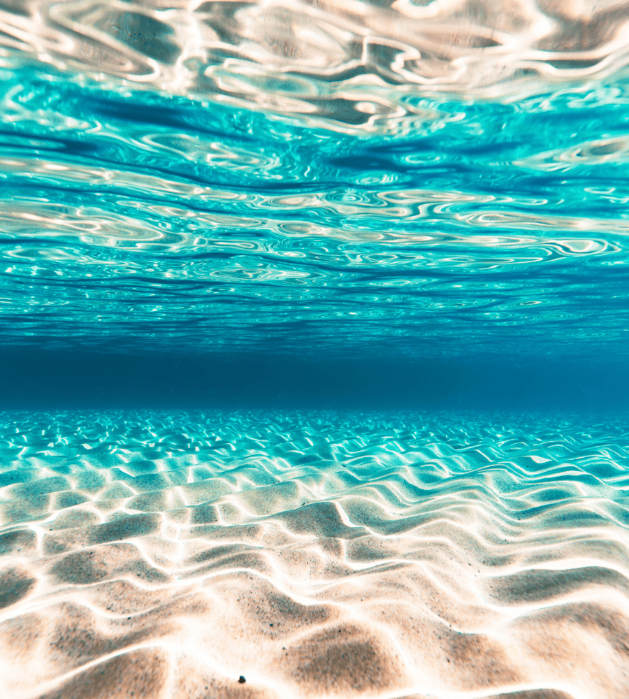 a wave in the ocean