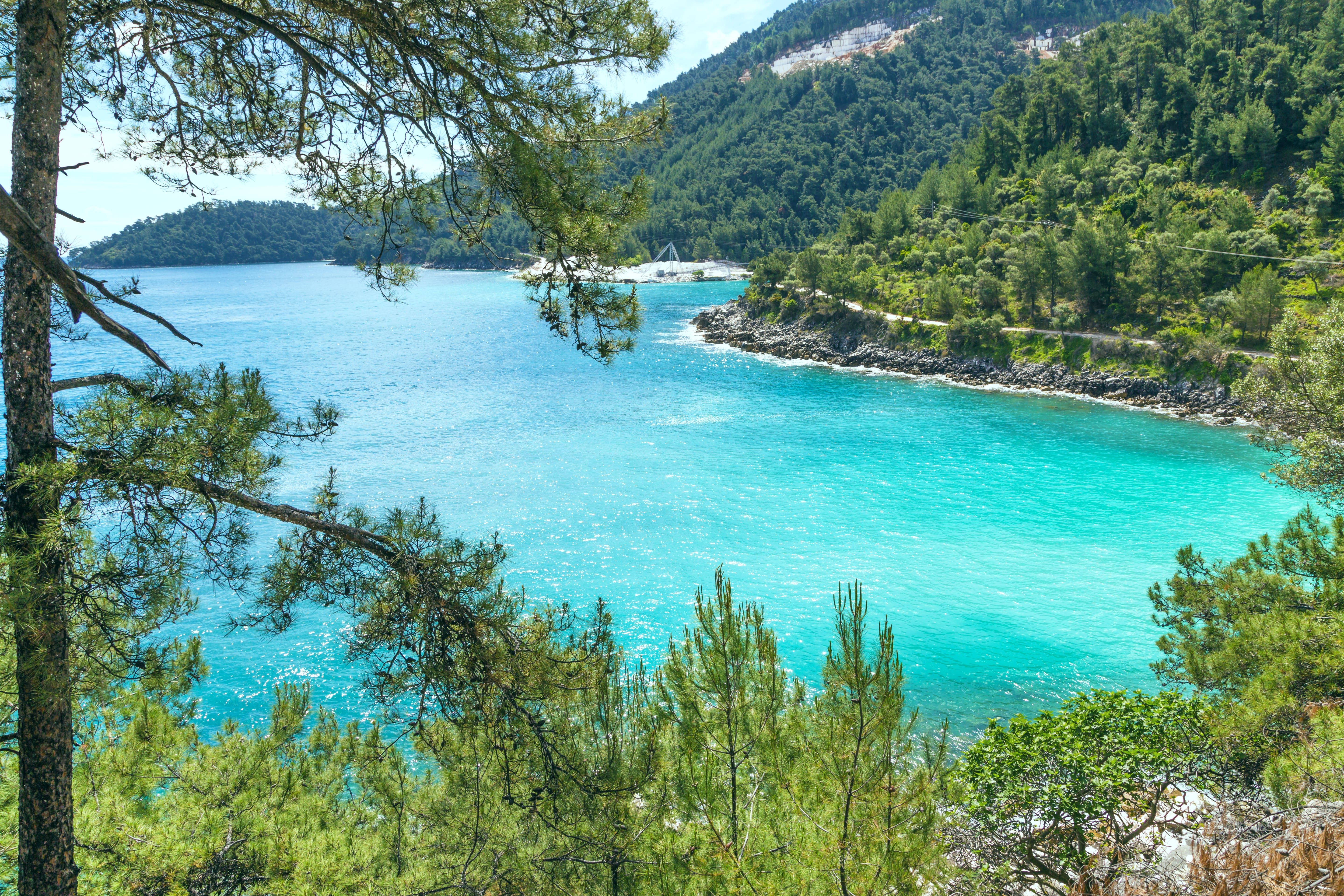 a blue body of water surrounded by trees and mountains