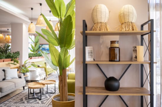 a room with shelves and a plant