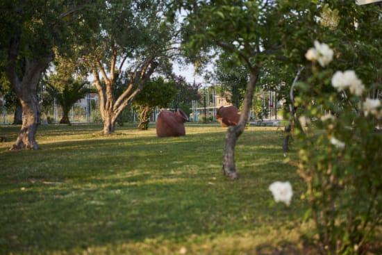 a grassy area with trees and flowers