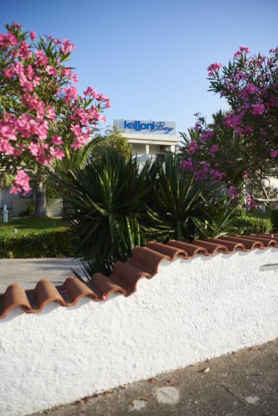 a group of plants next to a building