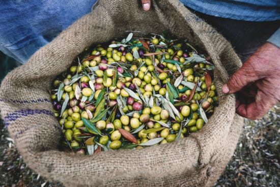 a person holding a bunch of green beans