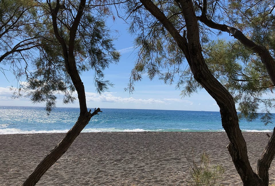 a beach with trees and water