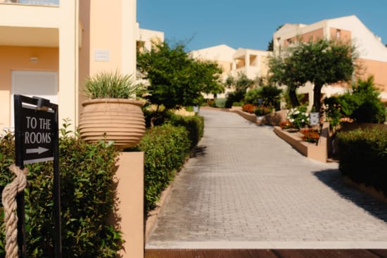 a walkway with plants and bushes