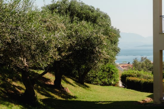 a view of a grassy hill with trees and a body of water in the background