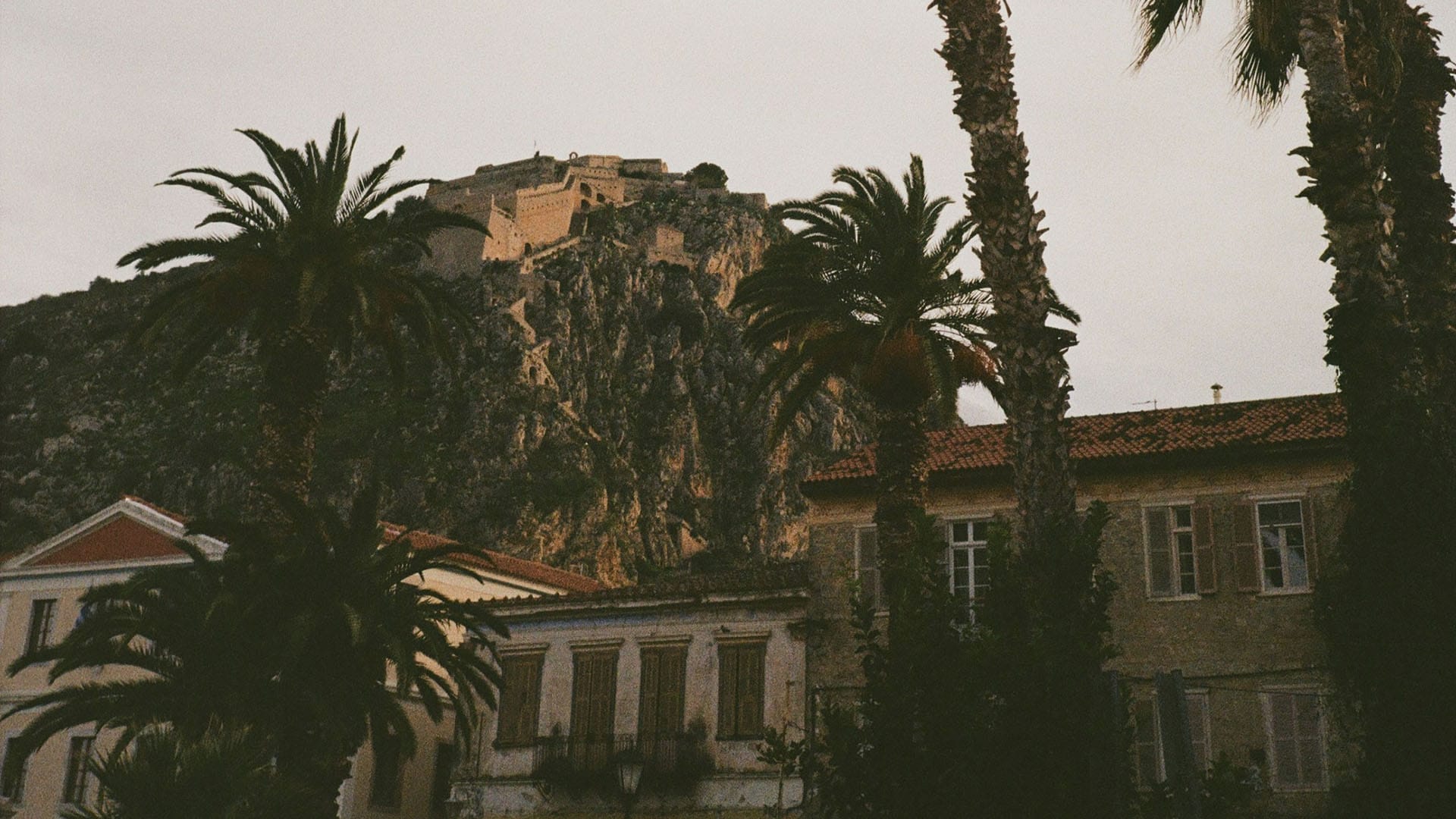 a group of trees in front of a building