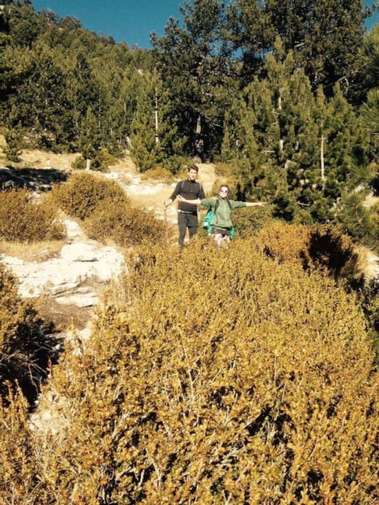 a man and a woman standing in a field of grass with trees in the background