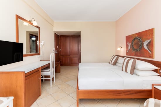 a bedroom with a bed and a tv