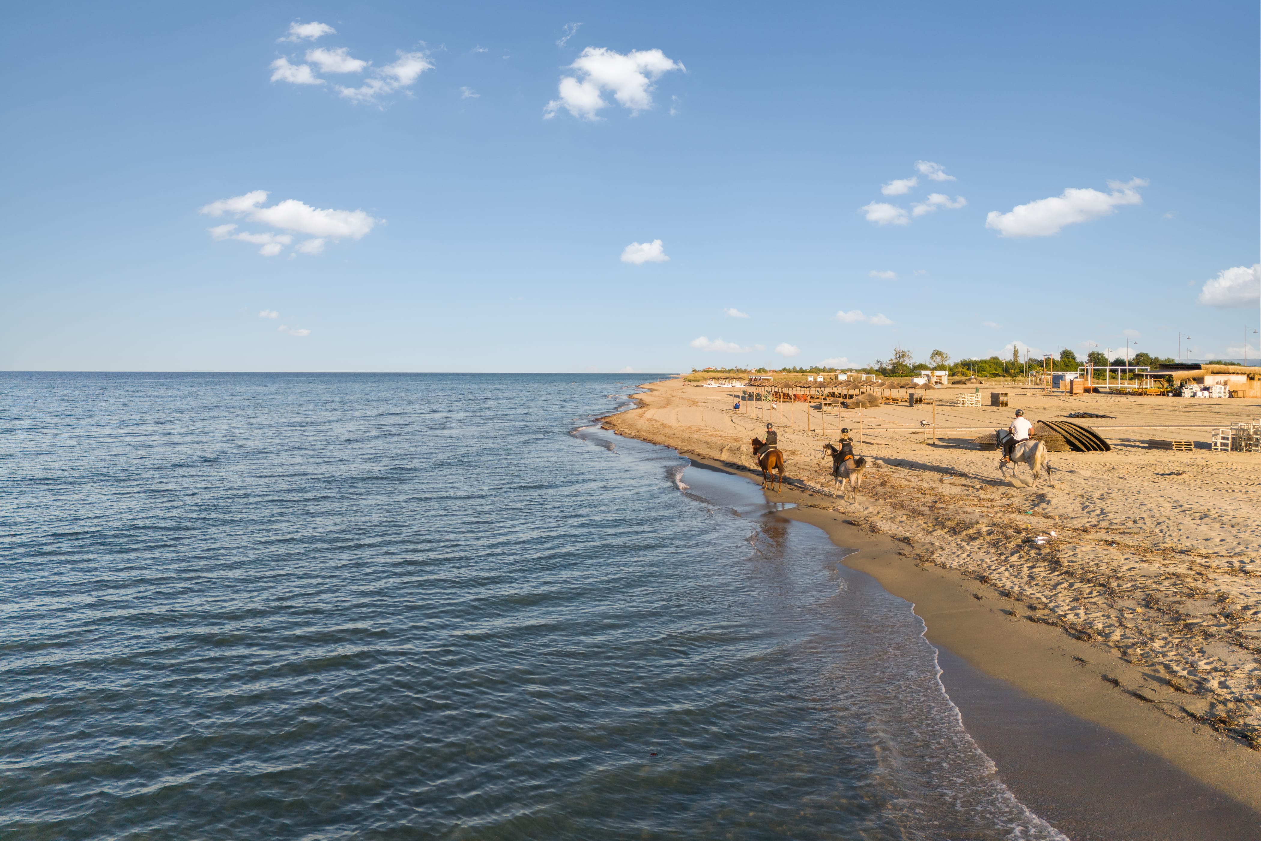 a beach with people on it
